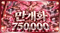 만개화